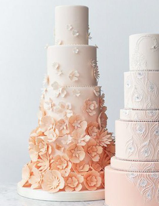 Ombre Sugar Flowers