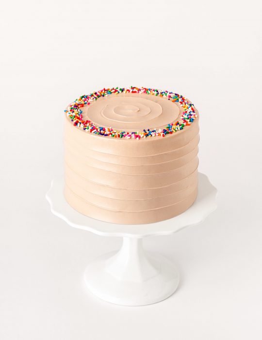Classic Chocolate Sprinkles Cake