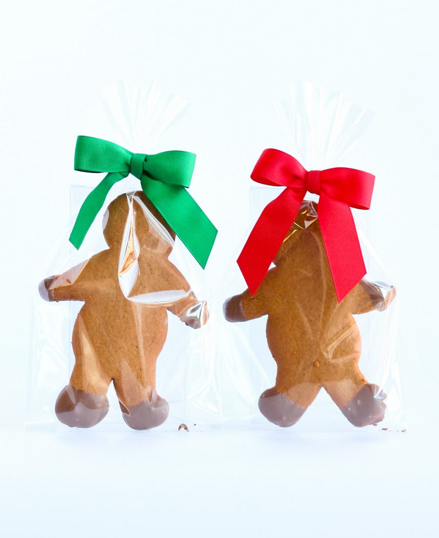 Gingy Gingy