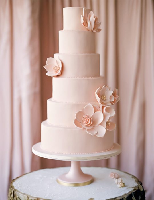 Modern Blush Floral