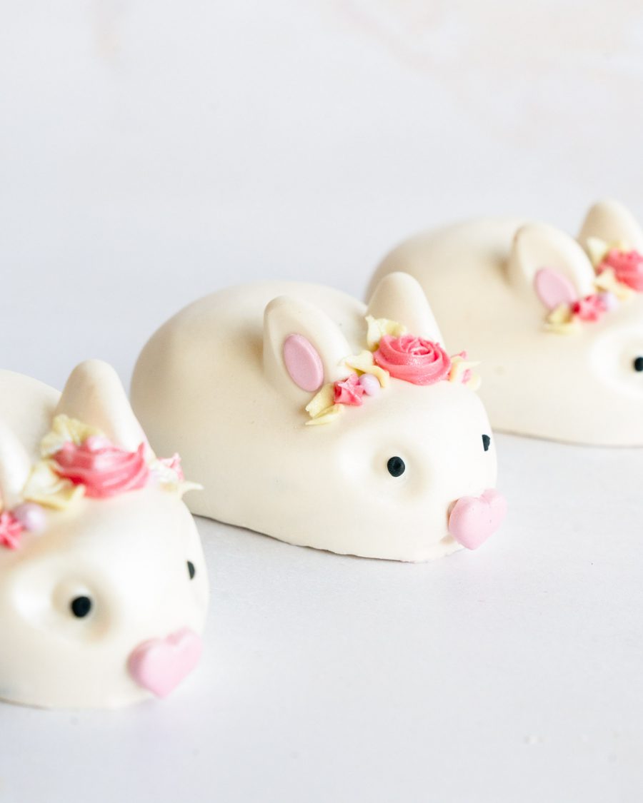 Easter Bunny Chocolate Cake Pop Toronto 1